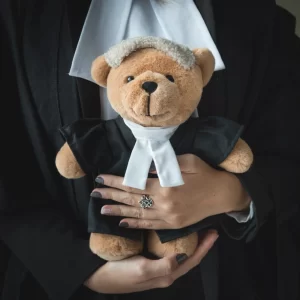 Lawyer 2024 teddy bear