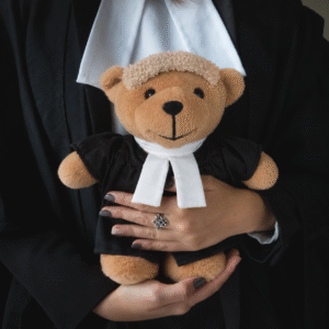 Lawyer Bear