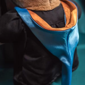 Sunway Graduation Bear